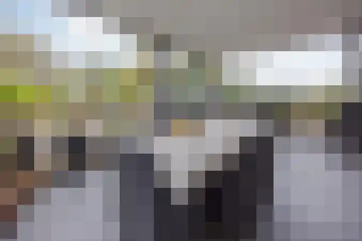 Vrouwboomweg 1 Horst thumbnail 6