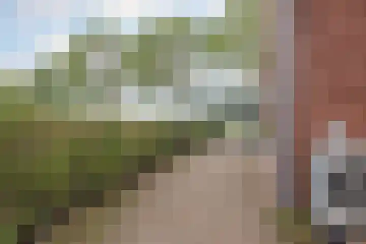 Vrouwboomweg 1 Horst thumbnail 60