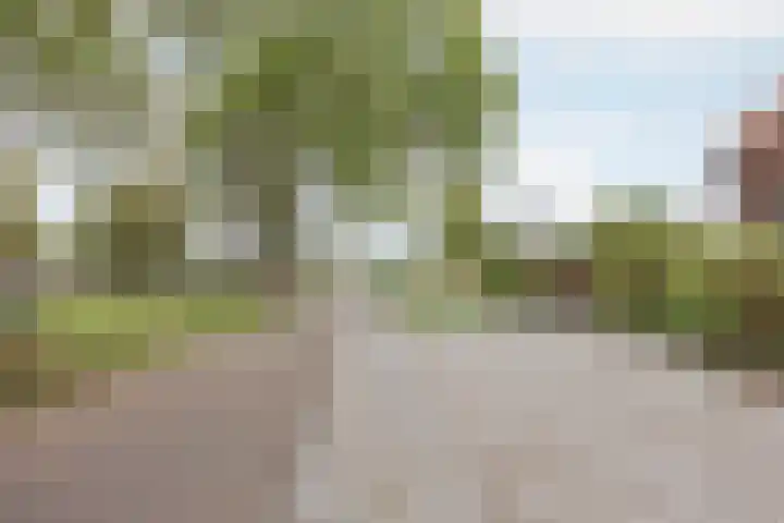 Vrouwboomweg 1 Horst thumbnail 62
