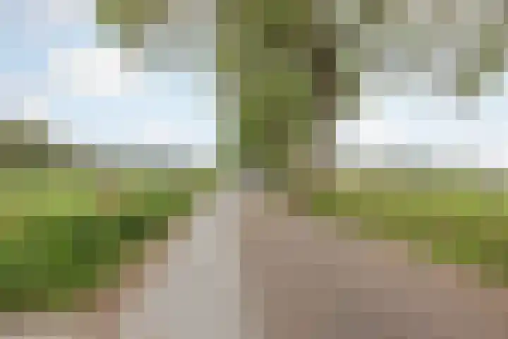 Vrouwboomweg 1 Horst thumbnail 63