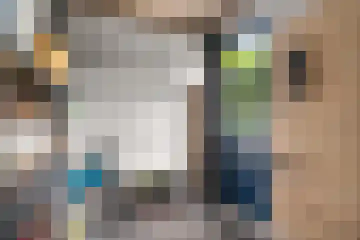 Vrouwburgerswei 3 Arnhem thumbnail 16