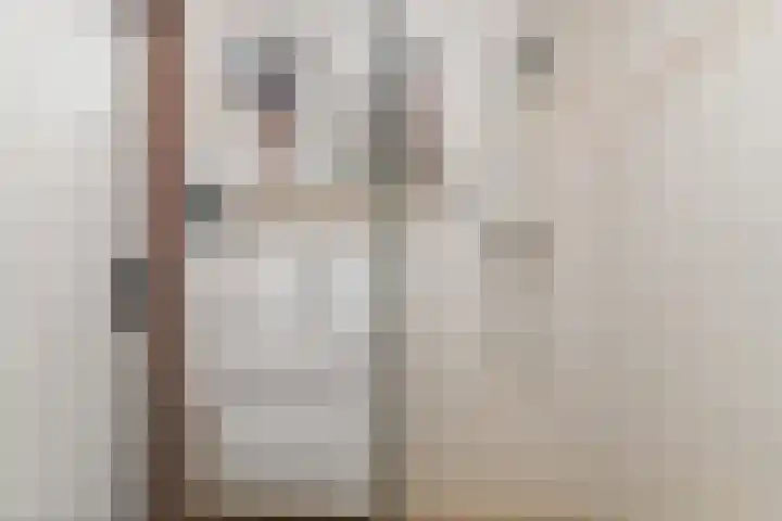 Vrouwburgerswei 3 Arnhem thumbnail 23