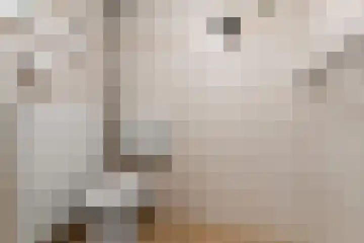 Vrouwburgerswei 3 Arnhem thumbnail 24