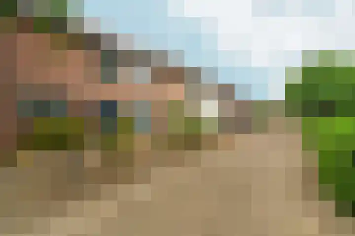 Vrouwburgerswei 3 Arnhem thumbnail 29