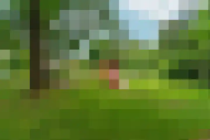 Vrouwburgerswei 3 Arnhem thumbnail 31