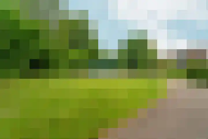 Vrouwburgerswei 3 Arnhem thumbnail 32
