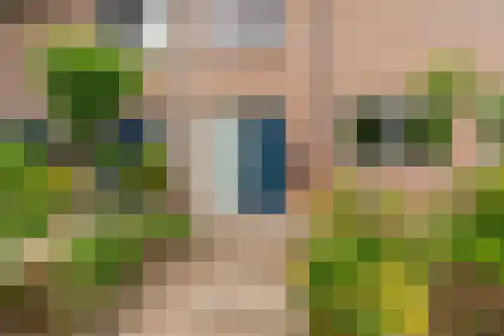 Vrouwburgerswei 3 Arnhem thumbnail 5