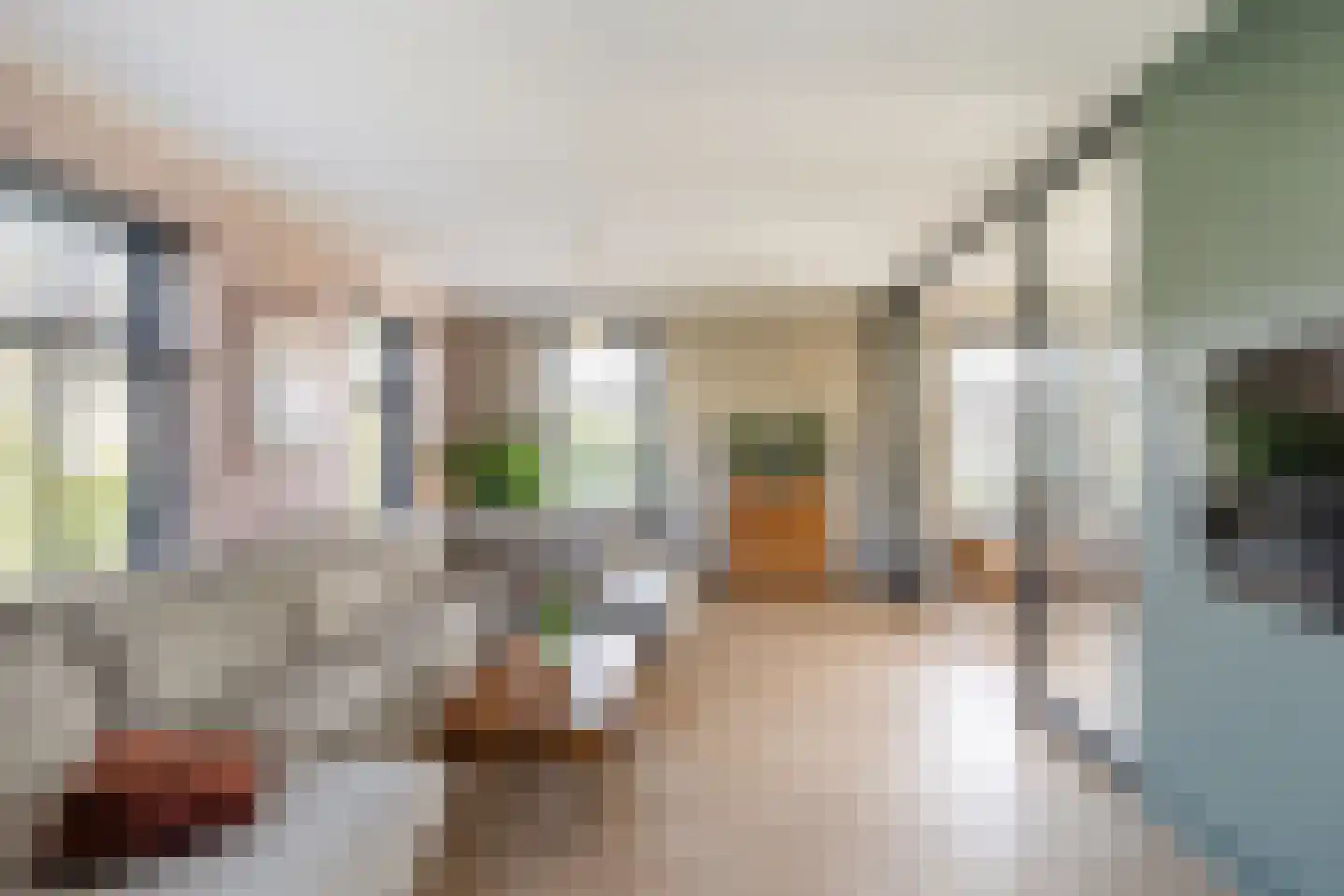 Vrouwe Antoniahof 8 Poeldijk thumbnail 10