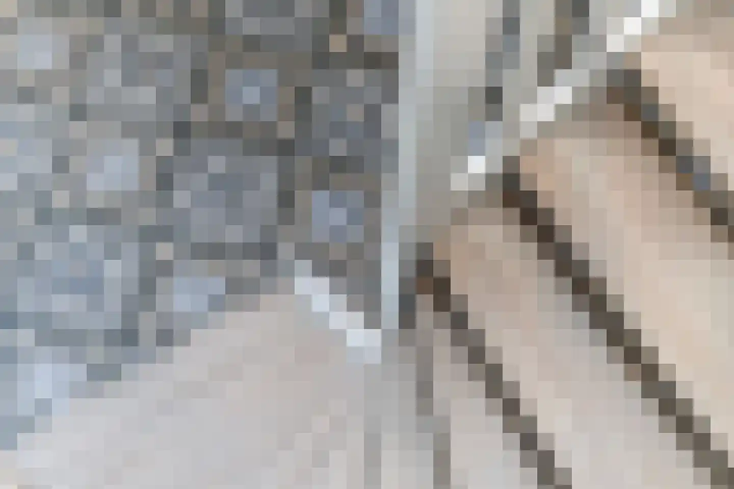 Vrouwe Antoniahof 8 Poeldijk thumbnail 33