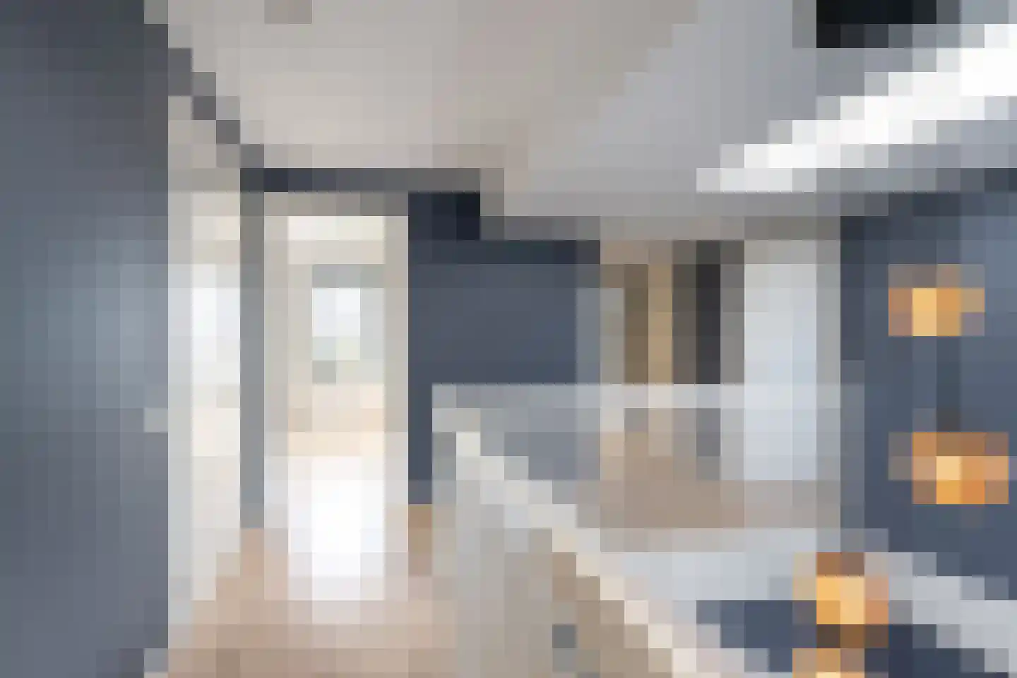 Vrouwe Antoniahof 8 Poeldijk thumbnail 34