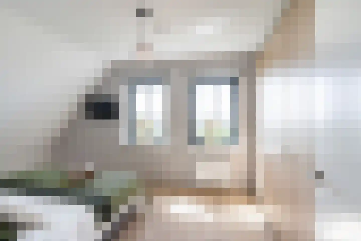 Vrouwe Antoniahof 8 Poeldijk thumbnail 35