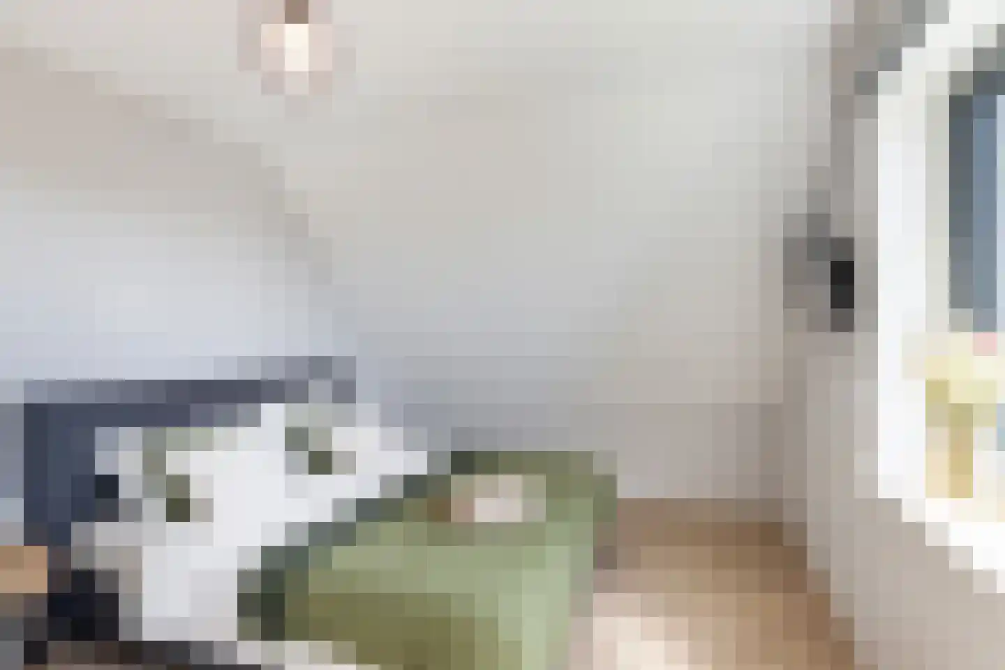 Vrouwe Antoniahof 8 Poeldijk thumbnail 36