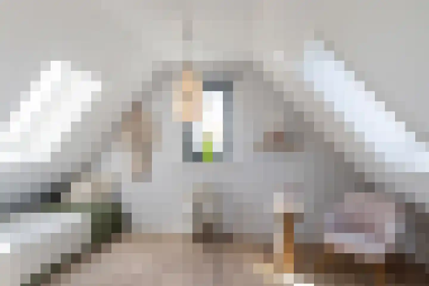 Vrouwe Antoniahof 8 Poeldijk thumbnail 51
