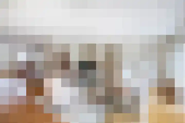 Vrouwe Cecilialaan 10 Nuenen thumbnail 21