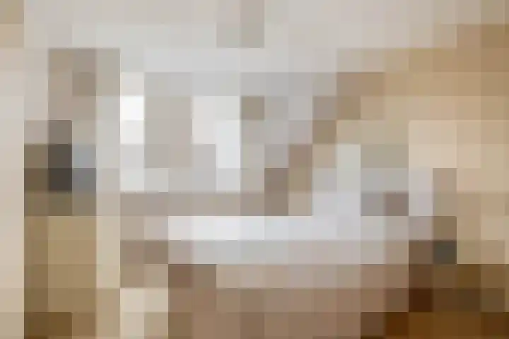 Vrouwe Cecilialaan 10 Nuenen thumbnail 29