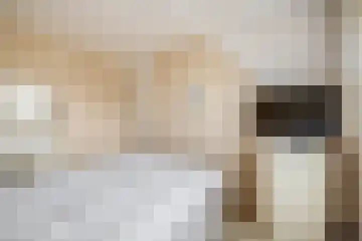 Vrouwe Cecilialaan 10 Nuenen thumbnail 30