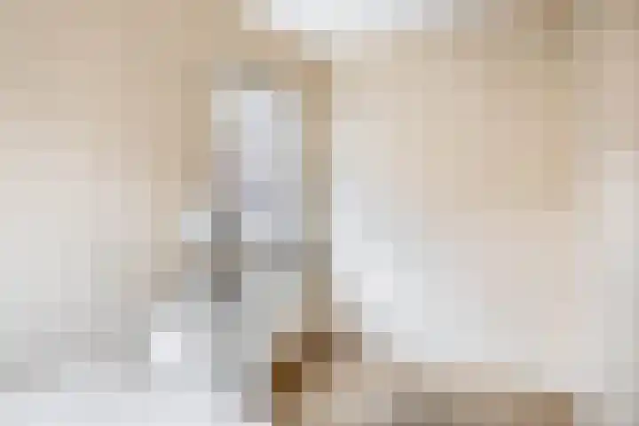 Vrouwe Cecilialaan 10 Nuenen thumbnail 32