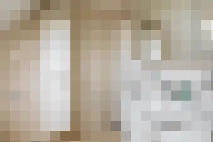 Vrouwe Cecilialaan 10 Nuenen thumbnail 34