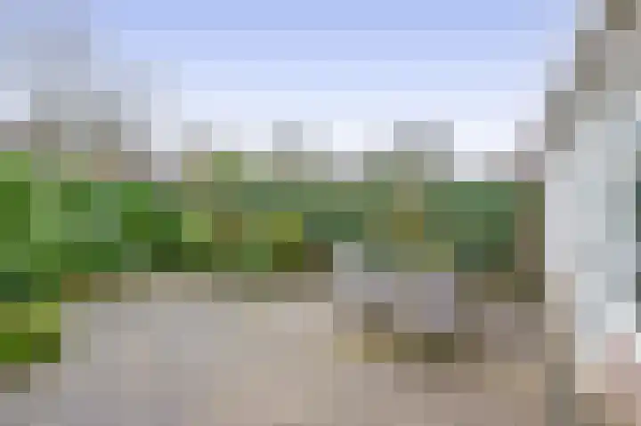 Vrouwe Cecilialaan 10 Nuenen thumbnail 37