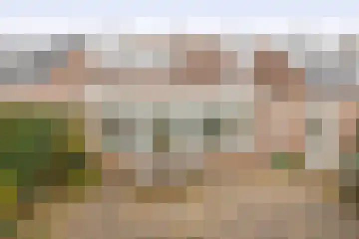 Vrouwe Cecilialaan 10 Nuenen thumbnail 4