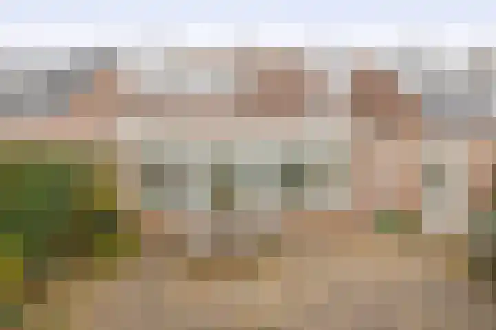 Vrouwe Cecilialaan 10 Nuenen thumbnail 40