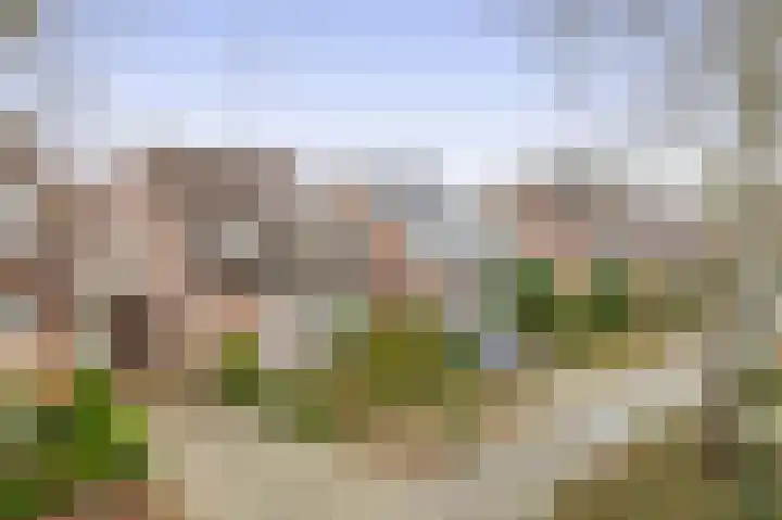 Vrouwe Cecilialaan 10 Nuenen thumbnail 8