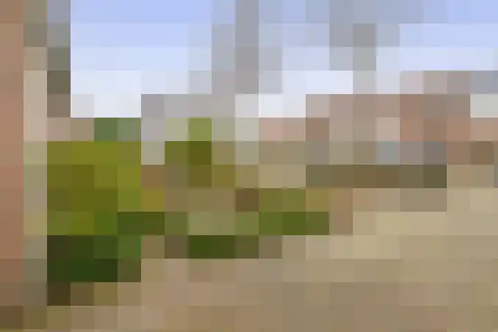 Vrouwe Cecilialaan 10 Nuenen thumbnail 9