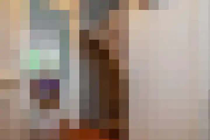 Vrouwe Cecilialaan 13 Nuenen thumbnail 10