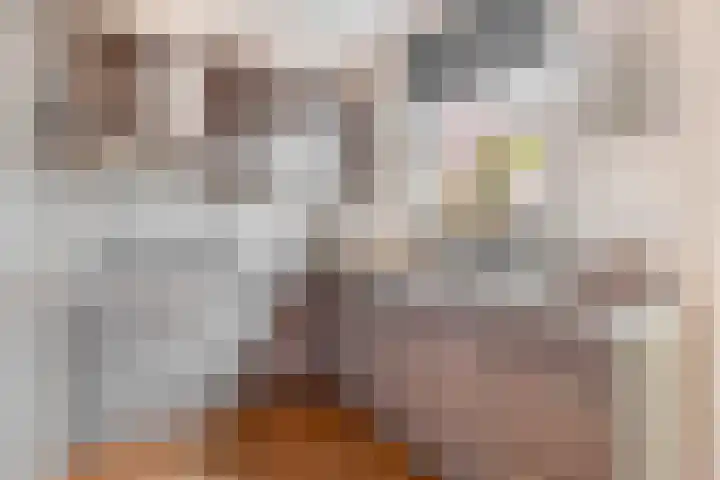Vrouwe Cecilialaan 13 Nuenen thumbnail 21