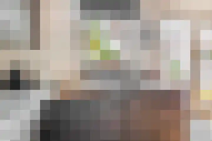 Vrouwe Cecilialaan 13 Nuenen thumbnail 22