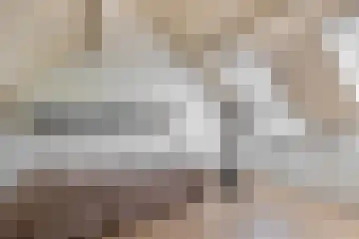 Vrouwe Cecilialaan 13 Nuenen thumbnail 33