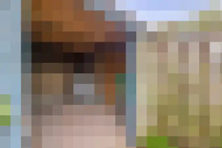 Vrouwe Cecilialaan 13 Nuenen thumbnail 35