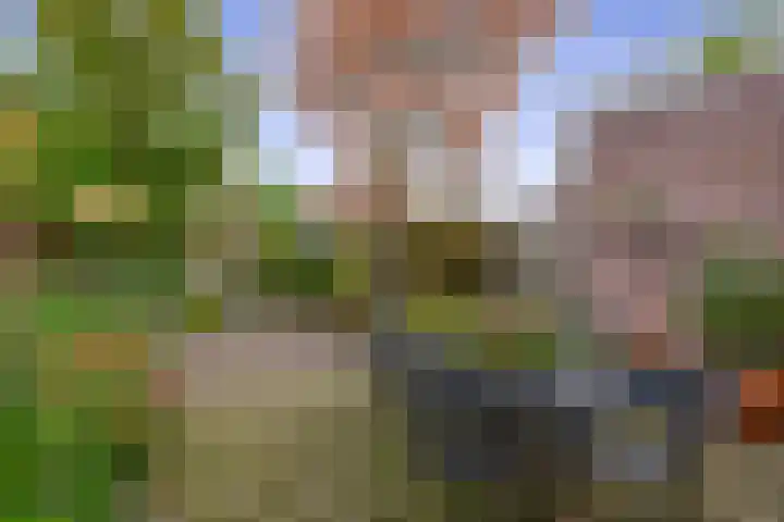 Vrouwe Cecilialaan 13 Nuenen thumbnail 37