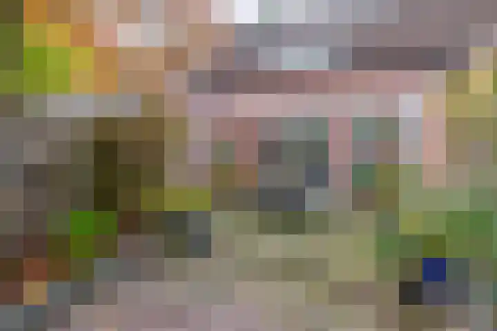 Vrouwe Cecilialaan 13 Nuenen thumbnail 38