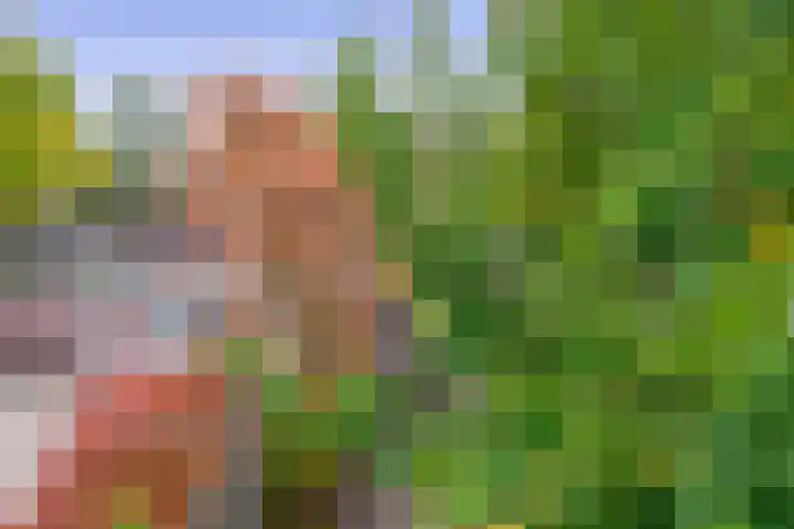Vrouwe Cecilialaan 13 Nuenen thumbnail 39