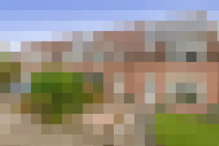 Vrouwe Cecilialaan 13 Nuenen thumbnail 6