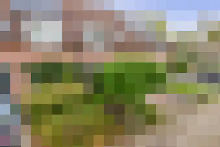 Vrouwe Cecilialaan 13 Nuenen thumbnail 7