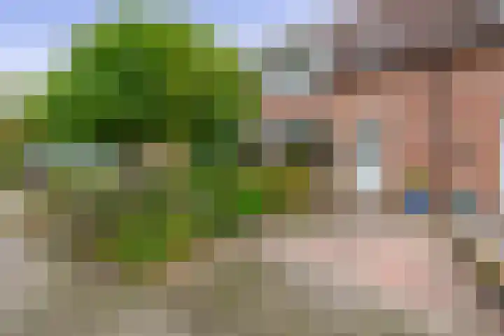 Vrouwe Cecilialaan 13 Nuenen thumbnail 8