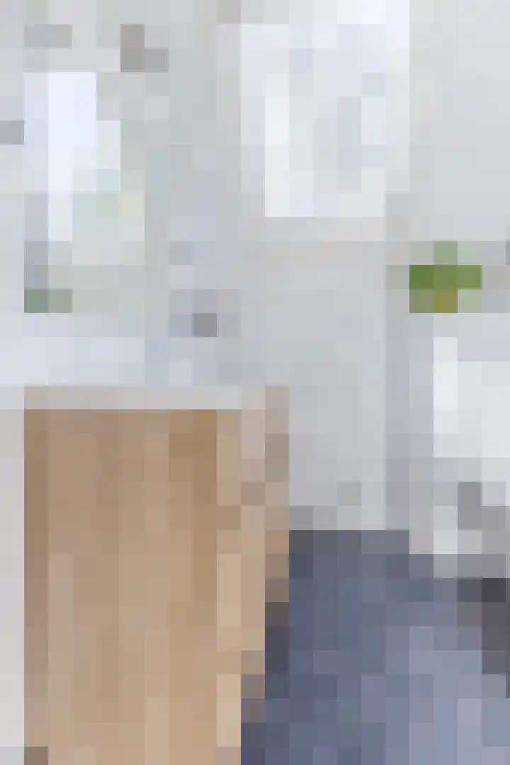 Vrouwe Cecilialaan 23 Nuenen thumbnail 26