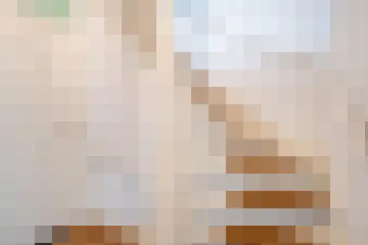 Vrouwe Cecilialaan 25 Nuenen thumbnail 18