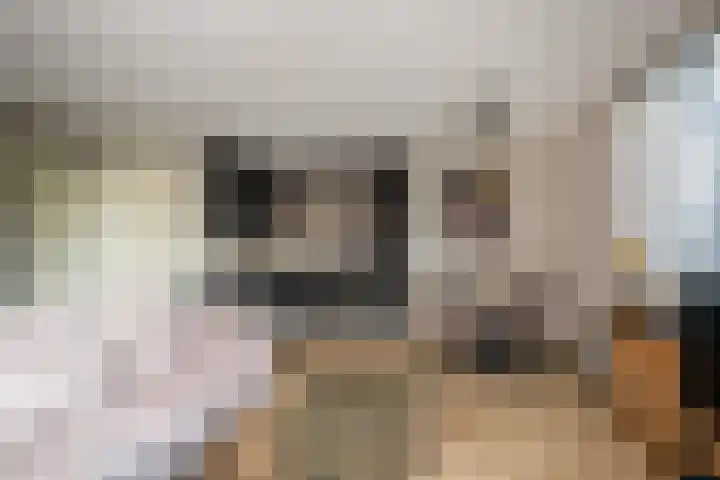 Vrouwe Jacoba 2 Maassluis thumbnail 10
