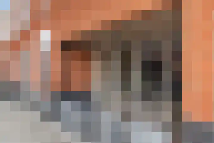 Vrouwe Jacoba 2 Maassluis thumbnail 22
