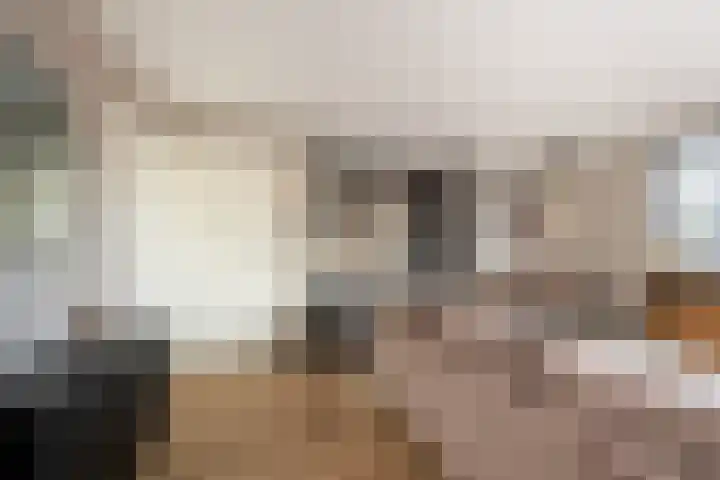 Vrouwe Jacoba 2 Maassluis thumbnail 9