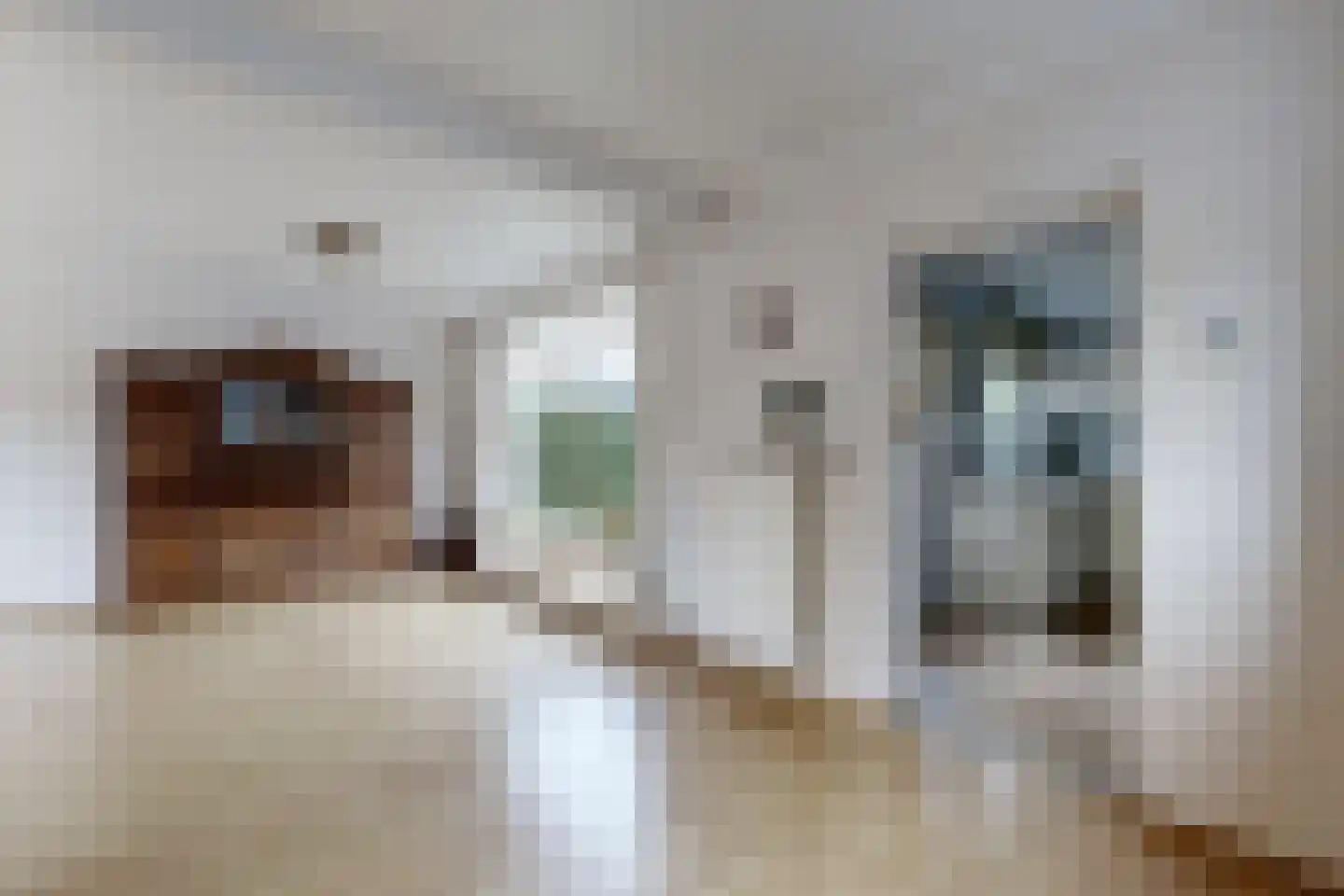 Vrouwe Jacobstraat 15 Fijnaart thumbnail 19