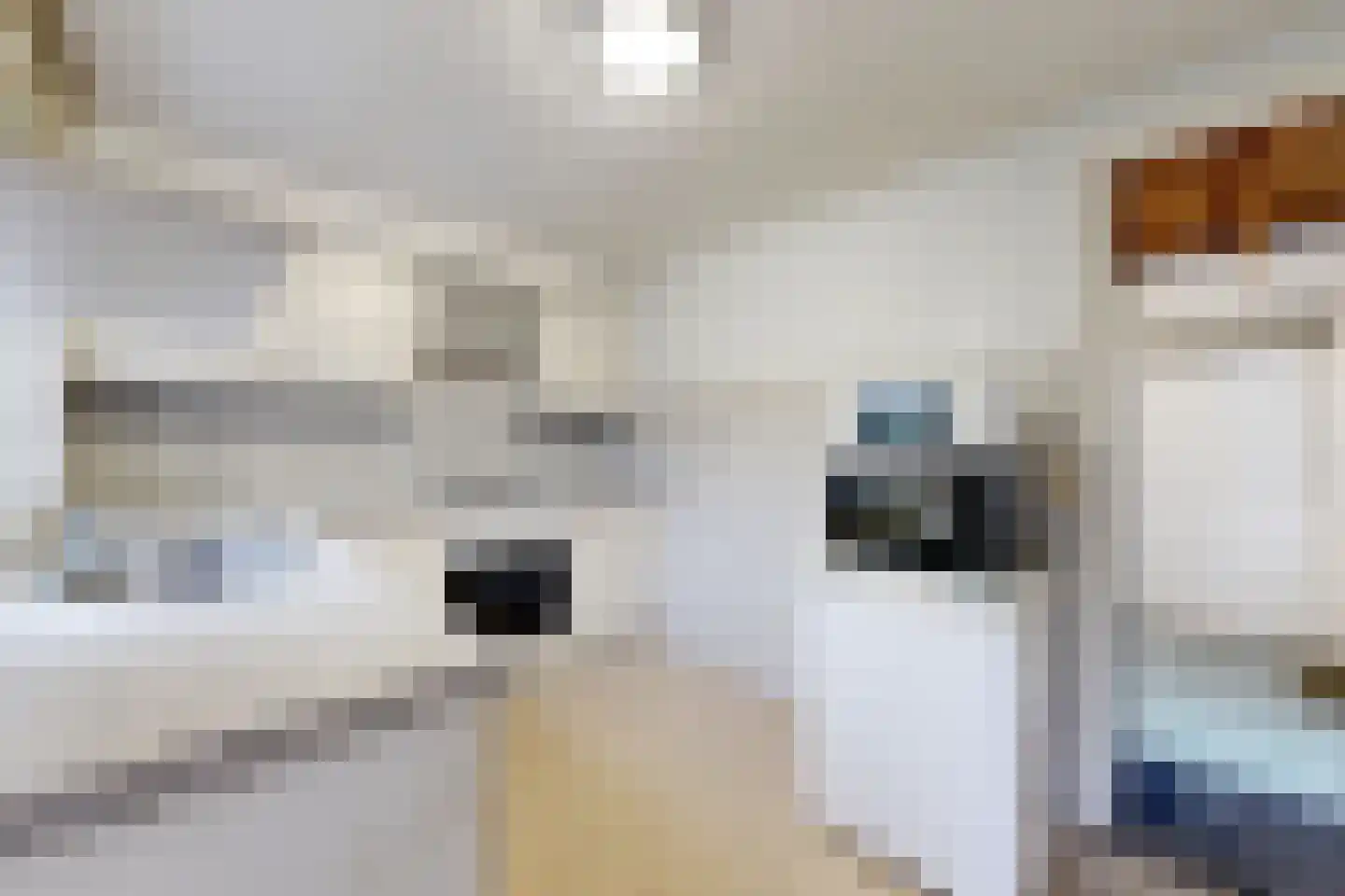 Vrouwe Jacobstraat 15 Fijnaart thumbnail 23