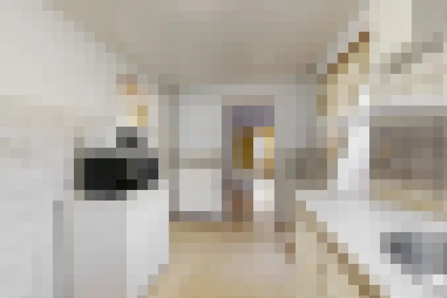 Vrouwe Jacobstraat 15 Fijnaart thumbnail 25