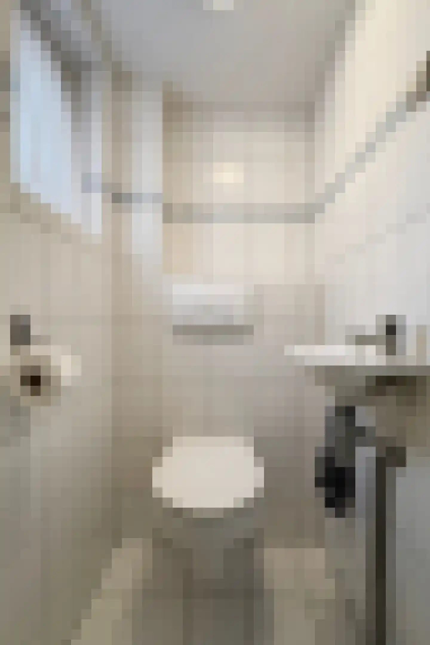 Vrouwe Jacobstraat 15 Fijnaart thumbnail 28