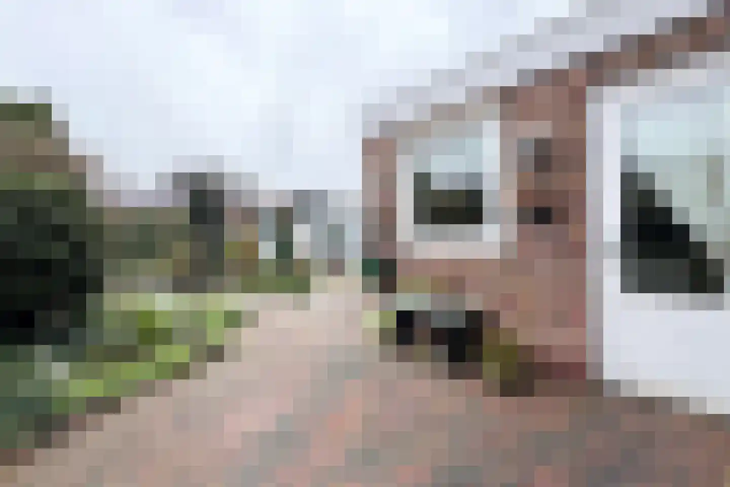 Vrouwe Jacobstraat 15 Fijnaart thumbnail 44
