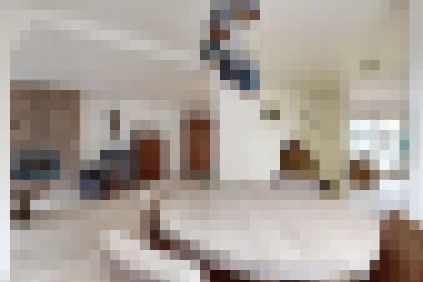 Vrouwe Jacobstraat 7 Fijnaart thumbnail 17