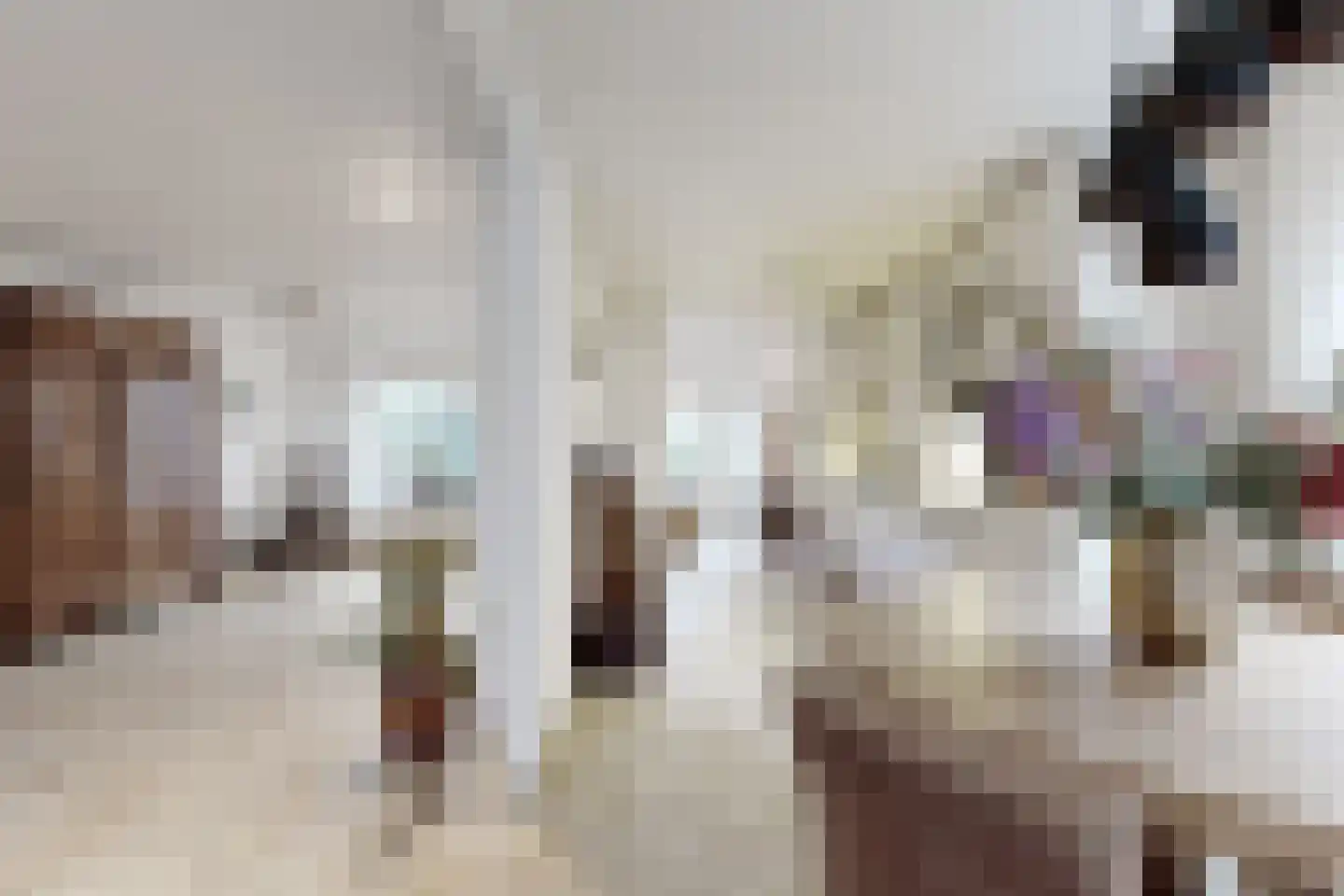 Vrouwe Jacobstraat 7 Fijnaart thumbnail 18